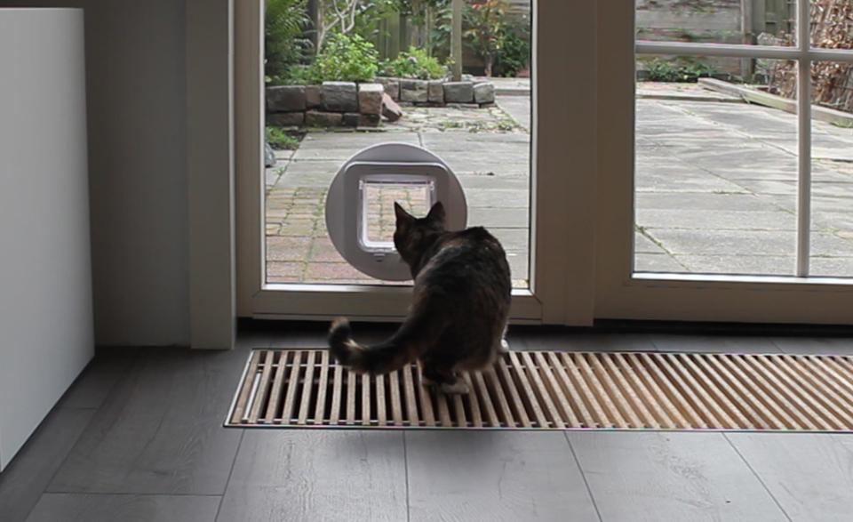 Spruit Giet Portier Wilt u dat uw kat makkelijk naar binnen (en buiten) kan?