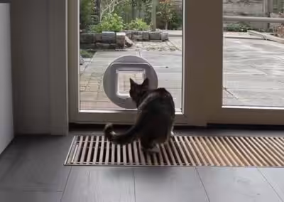 Kattenluik in glas