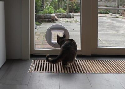 Kattenluik in glas