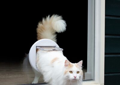 Kattenluik in glas